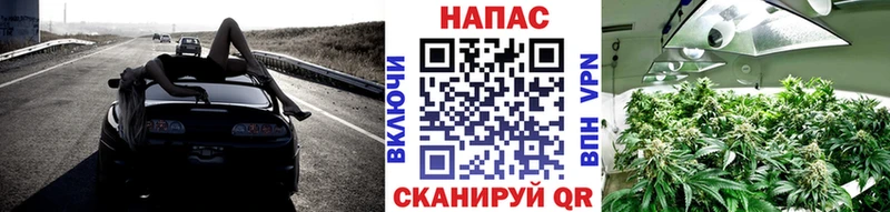 Купить где  Томск  Бошки Шишки LSD WEED 